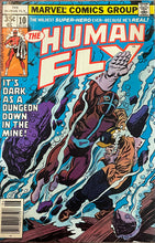 Load image into Gallery viewer, The Human Fly #1 - 19 (Complete series 19 issues) 1977
