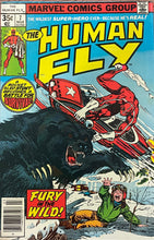 Load image into Gallery viewer, The Human Fly #1 - 19 (Complete series 19 issues) 1977
