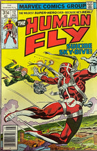 Load image into Gallery viewer, The Human Fly #1 - 19 (Complete series 19 issues) 1977
